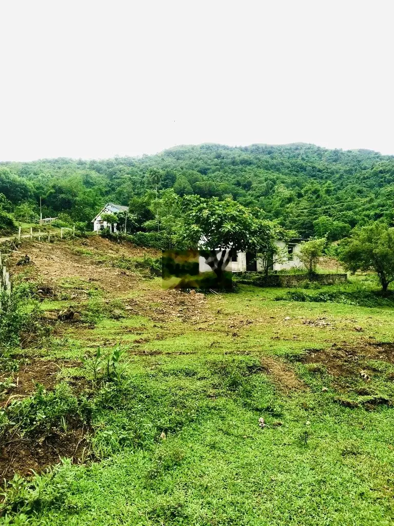 Bán đất tại Cao Phong, Hoà Bình. Diện tích 2285m2, giá 1,35 tỷ