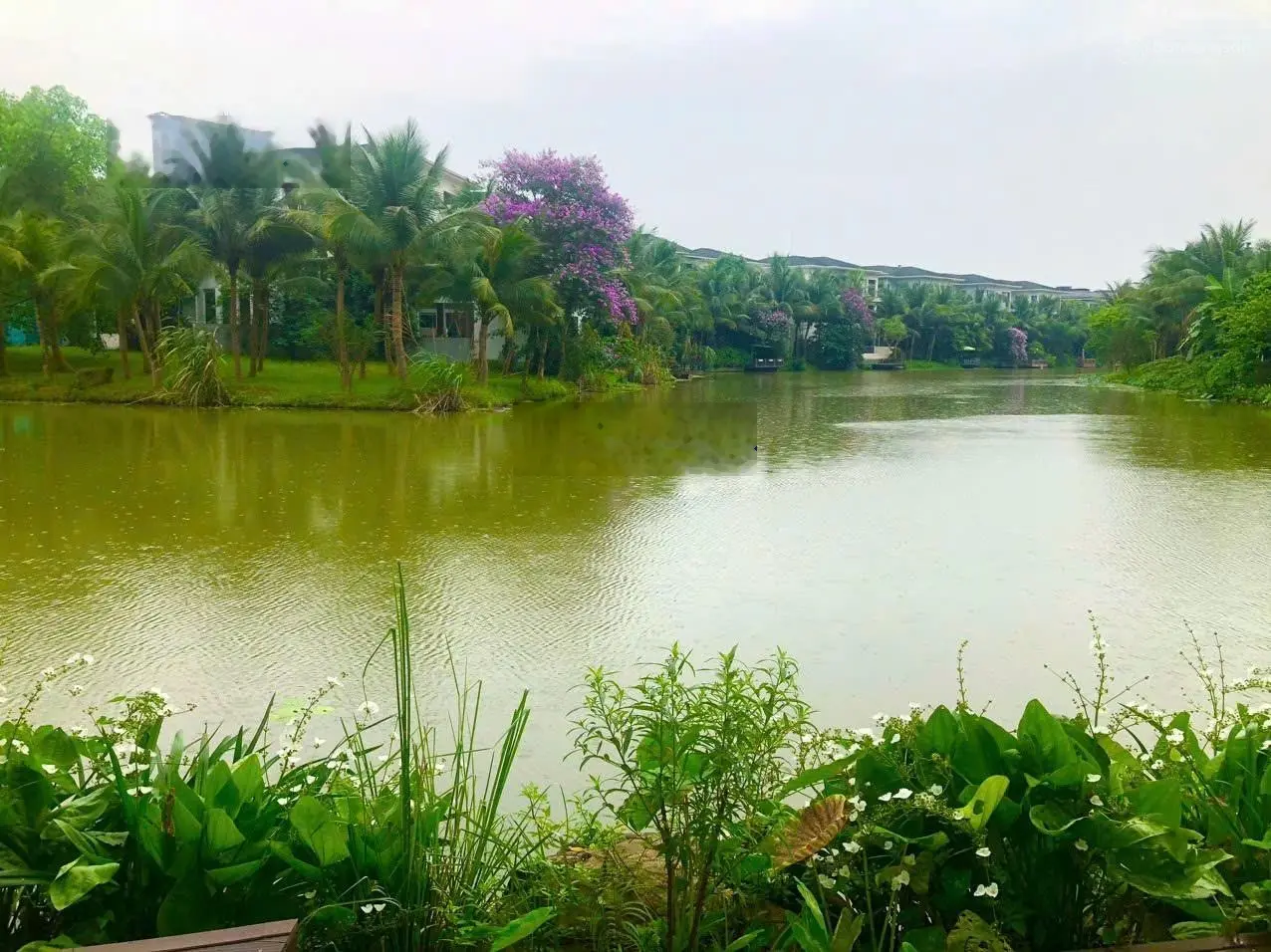 Chủ nhà nhờ em bán căn biệt thự đảo Ecopark gần 500m2. Anh chị quan tâm liên hệ Hải: 0704725555