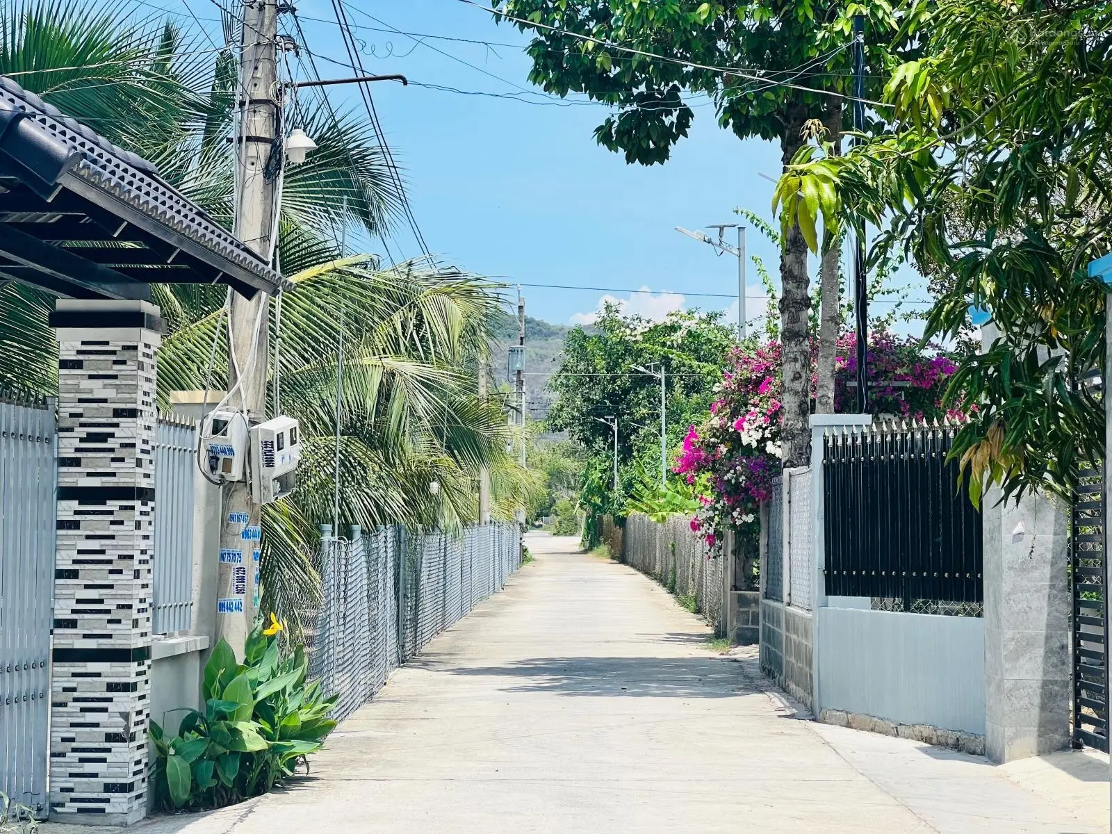 539m2 Long Mỹ - Đất Đỏ - BRVT giá siêu mềm chỉ hơn 2,9tr/m2 làm vườn siêu đẹp