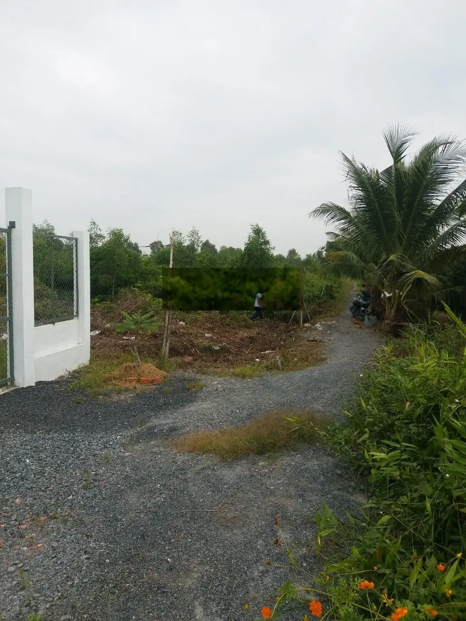Tôi Chính Chủ Cần Bán Gấp 2 Lô Đất 1000m2/1,39 Tỷ đg Xe Hơi ở Thạnh Đức và 1022m2/690Tr ở Bình Đức