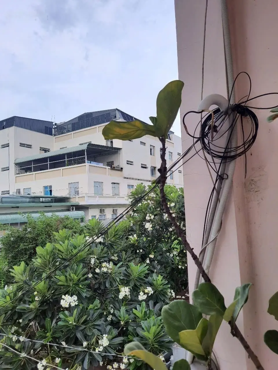 Bán nhà riêng tại Đường Cây Keo, Tam Phú, Thủ Đức, 5,5 tỷ, 62m2, view đẹp chỉ với