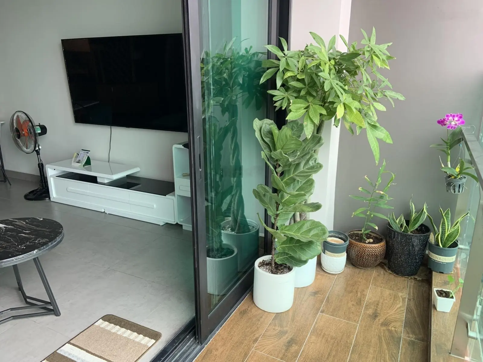 Cần tiền bán gấp căn hộ 2PN - 2WC Feliz En Vista Quận 2 giá tốt. LH: 0909 024 ***