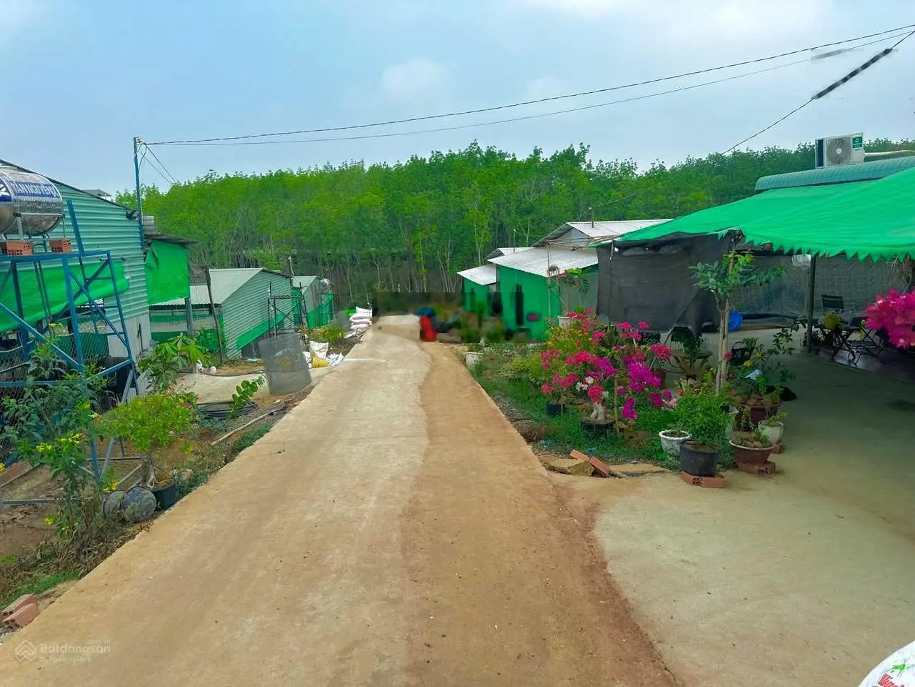 Chính chủ cần bán trang trại 7000m2 giá bán 4,5tỷ (mua lại được giữ HĐ thuê lại trại gần 300tr/năm)