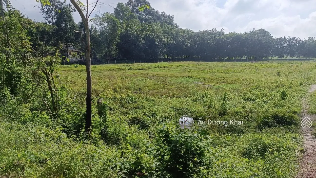 cần bán miếng đất vườn 1000m2/500tr,SHR ,có thổ cư, yên tính mát mẻ, dân cư đông đúc, đường xi măng