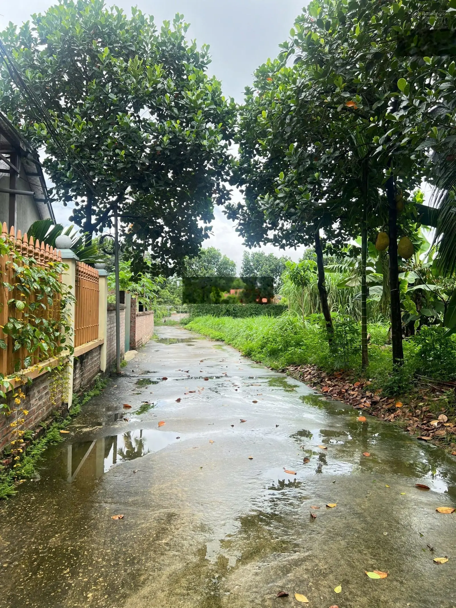 Em bán lô đất siêu đẹp giá rẻ tại Hoà Trúc Hoà Thạch Quốc Oai Hà Nội