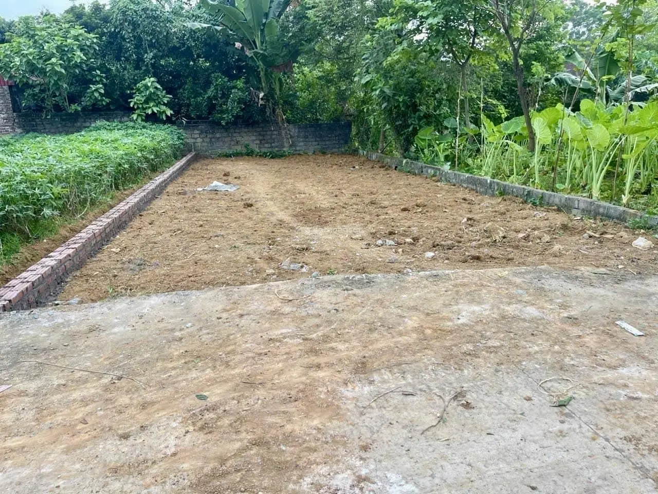 Cần bán hoa hậu 115,6m2 (6,5 x 18m) đất vuông vắn - bằng phẳng - Sẵn sổ hồng - Giá đầu tư