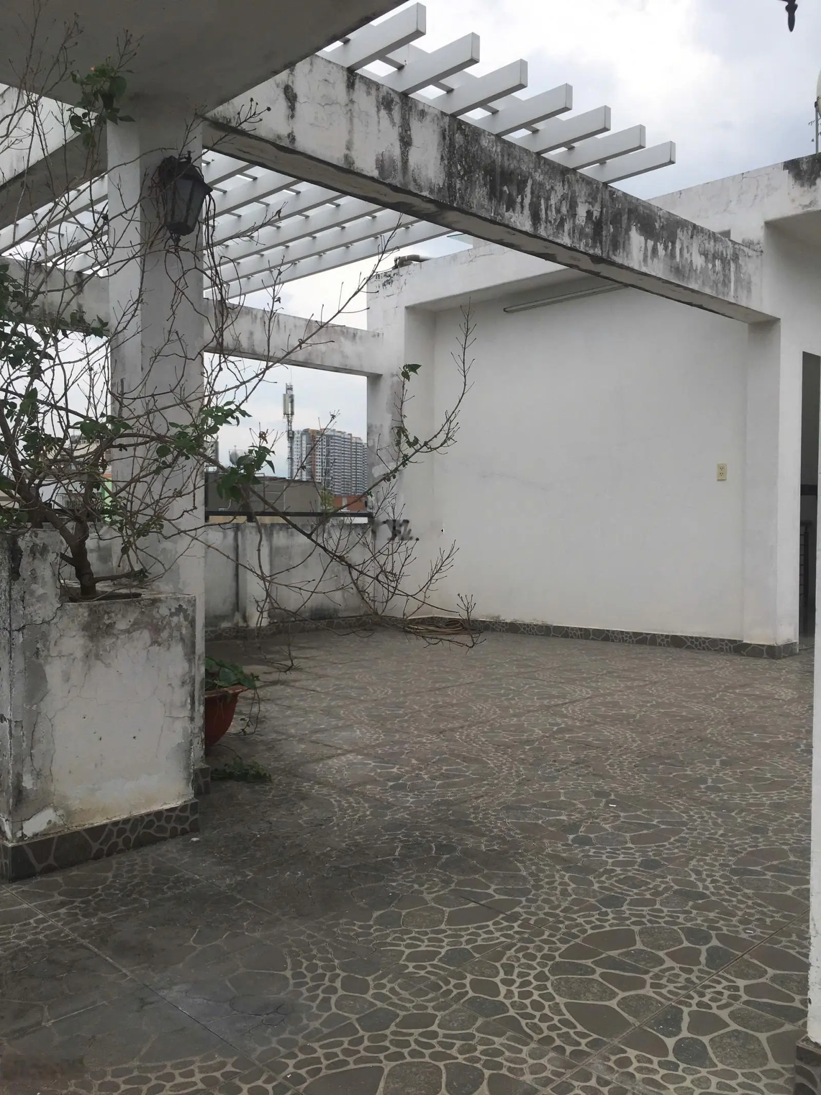 Biệt thự - 203m2 - đường 7m - Nguyễn Duy Trinh - Bình Trưng Tây