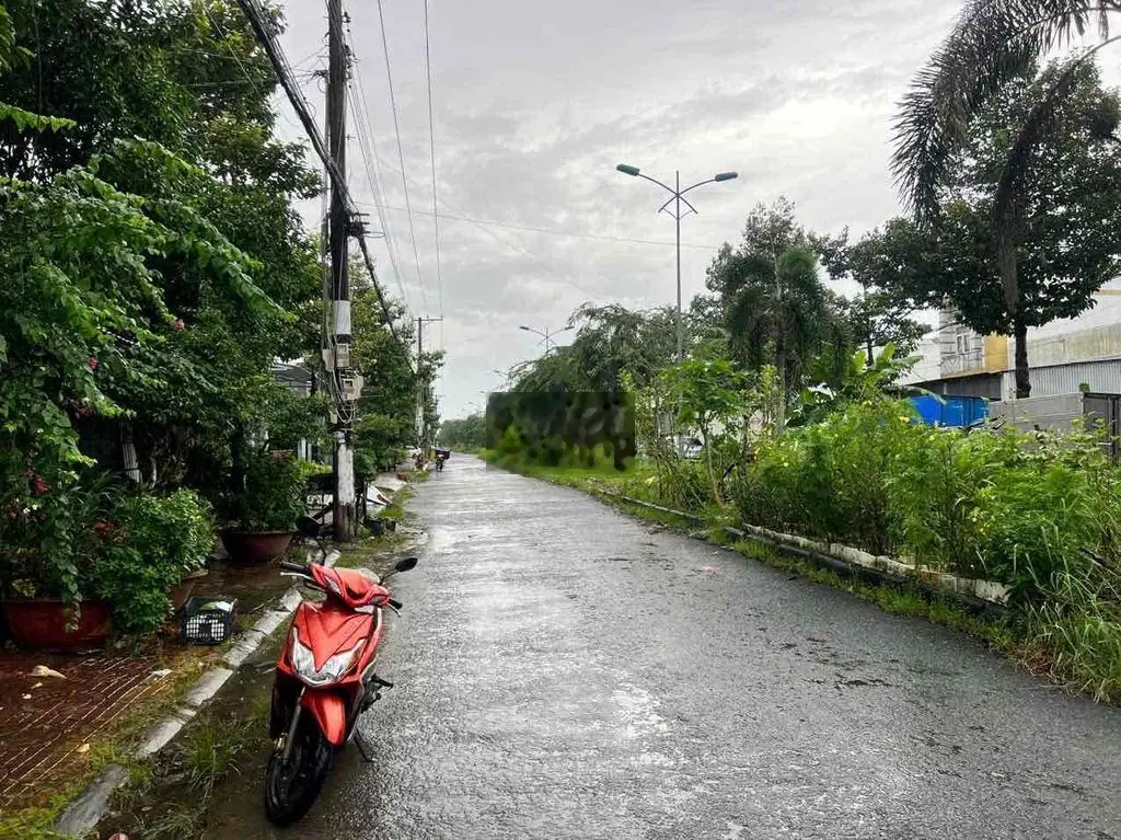 Nền đường tạ uyên phường 9 (cách kdc minh thắng ~ 500m)
