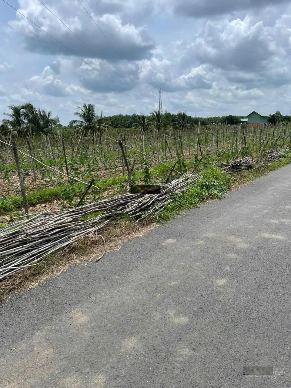 Bán Gấp lô đất Cách ngã Tư Du Lịch Núi chưa đến 2p 15x35 (525m2) chỉ 270tr. bao Check quy hoạch.