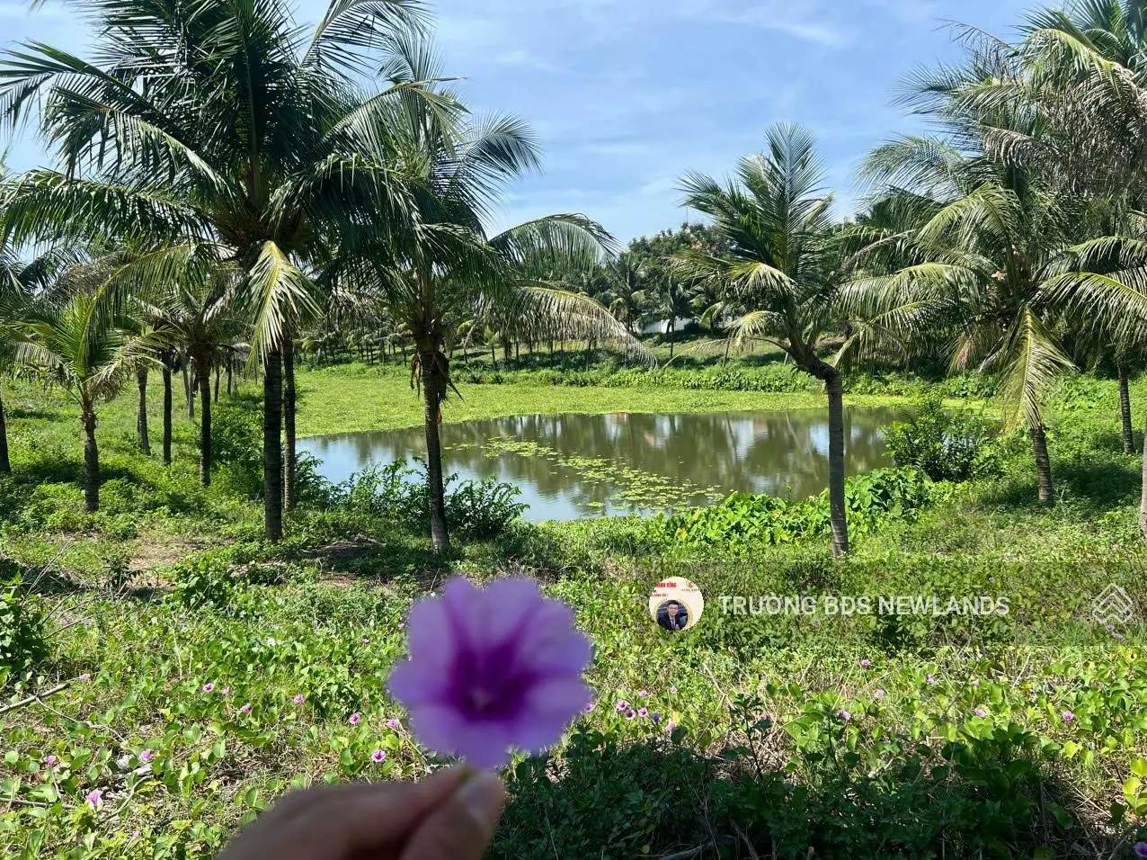 Bán đất FPT ngang 8m giai đoạn 1 gần kênh sinh thái, gần Nam Kì Khởi Nghĩa đường thông trục Bắc Nam
