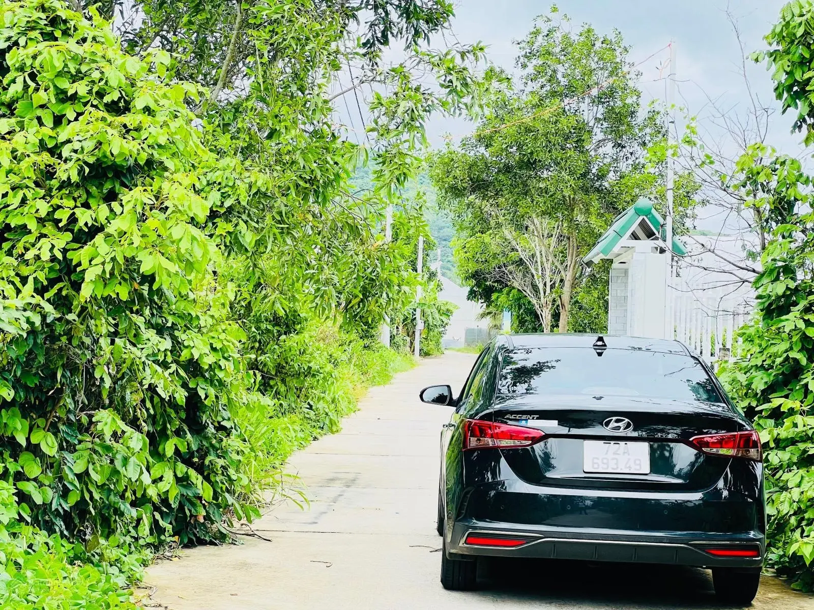 Bán đất Long Mỹ - TT Phước Hải 1000m2, MT 33m giá tốt đầu tư xây nhà vườn