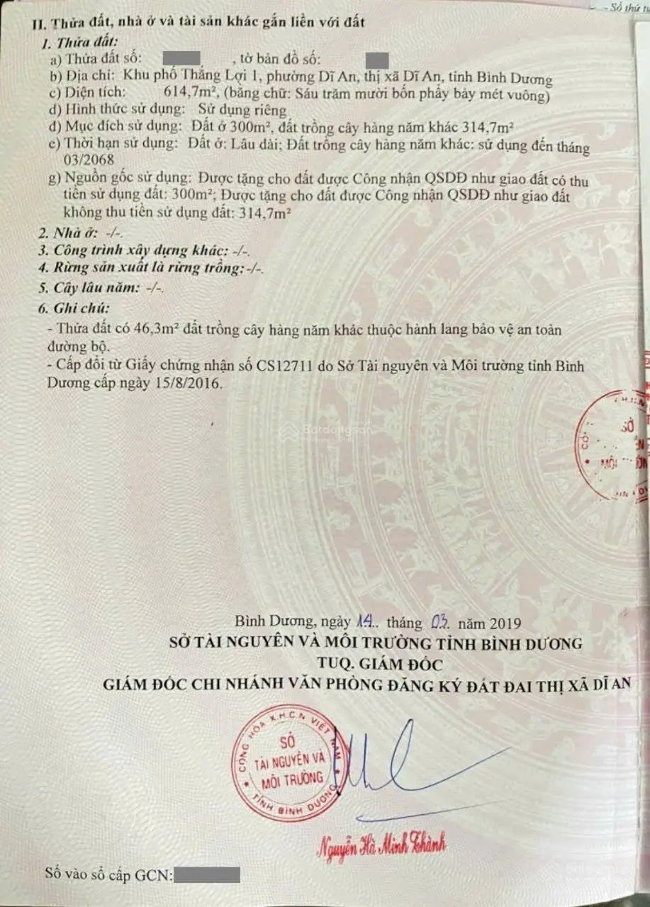 Mặt Tiền Kinh Doanh Biệt Thự Gần Chợ Trường Học Đường Nguyễn Du, Dĩ An, Tp. Dĩ An