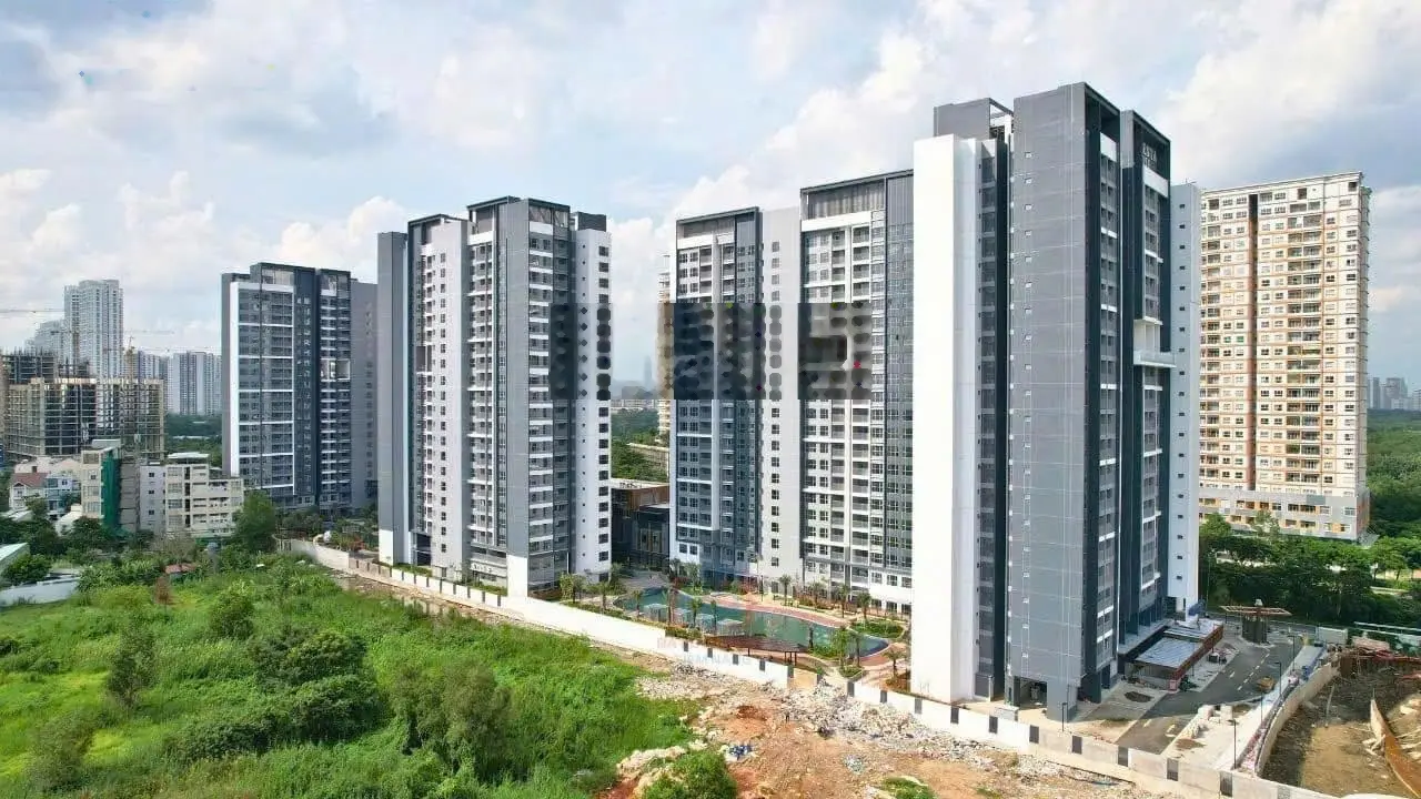 Celesta Rise - Mua đúng bán nhanh - rổ hàng chất lượng