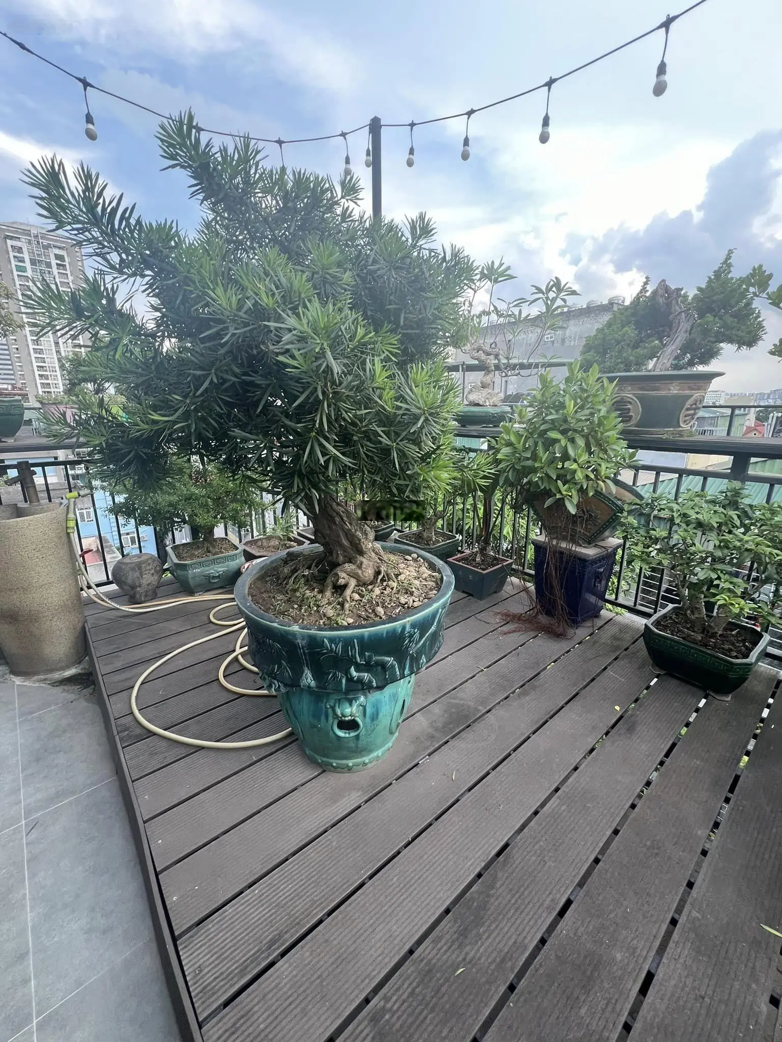 Bán nhà riêng phố Phạm Ngọc Thạch Đống Đa phân lô vỉa hè 3m KD 46m2 7T, MT 4m, 15.3 tỷ, 0969 065 ***