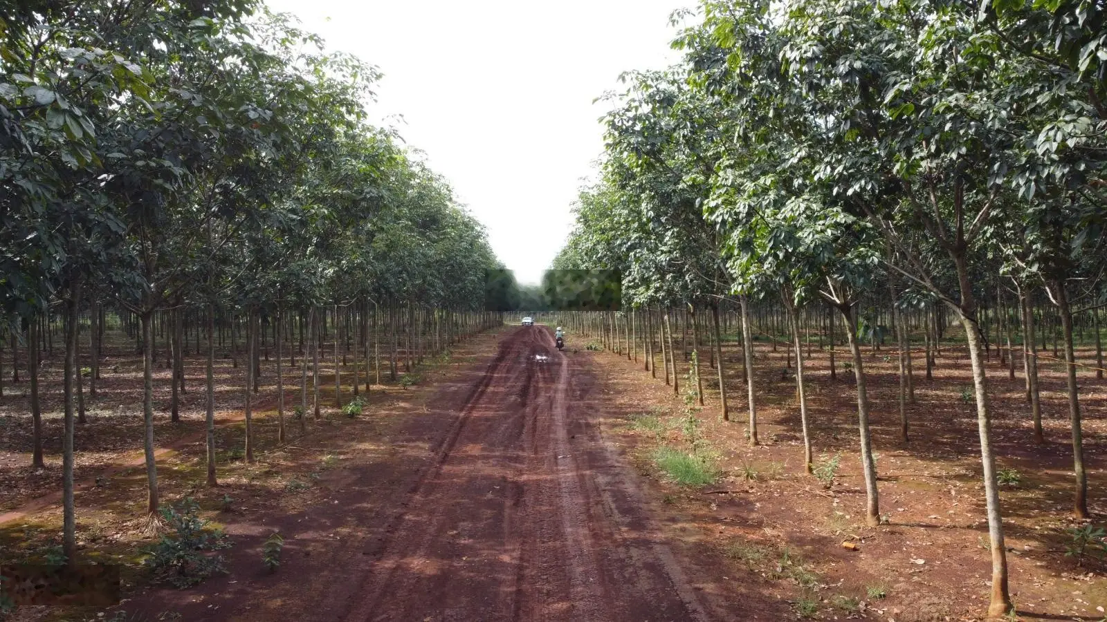 Bán 500.000 m2 (50 ha) đất SKC (nhà xưởng) gần đường Cao tốc Chơn Thành - Gia Nghĩa