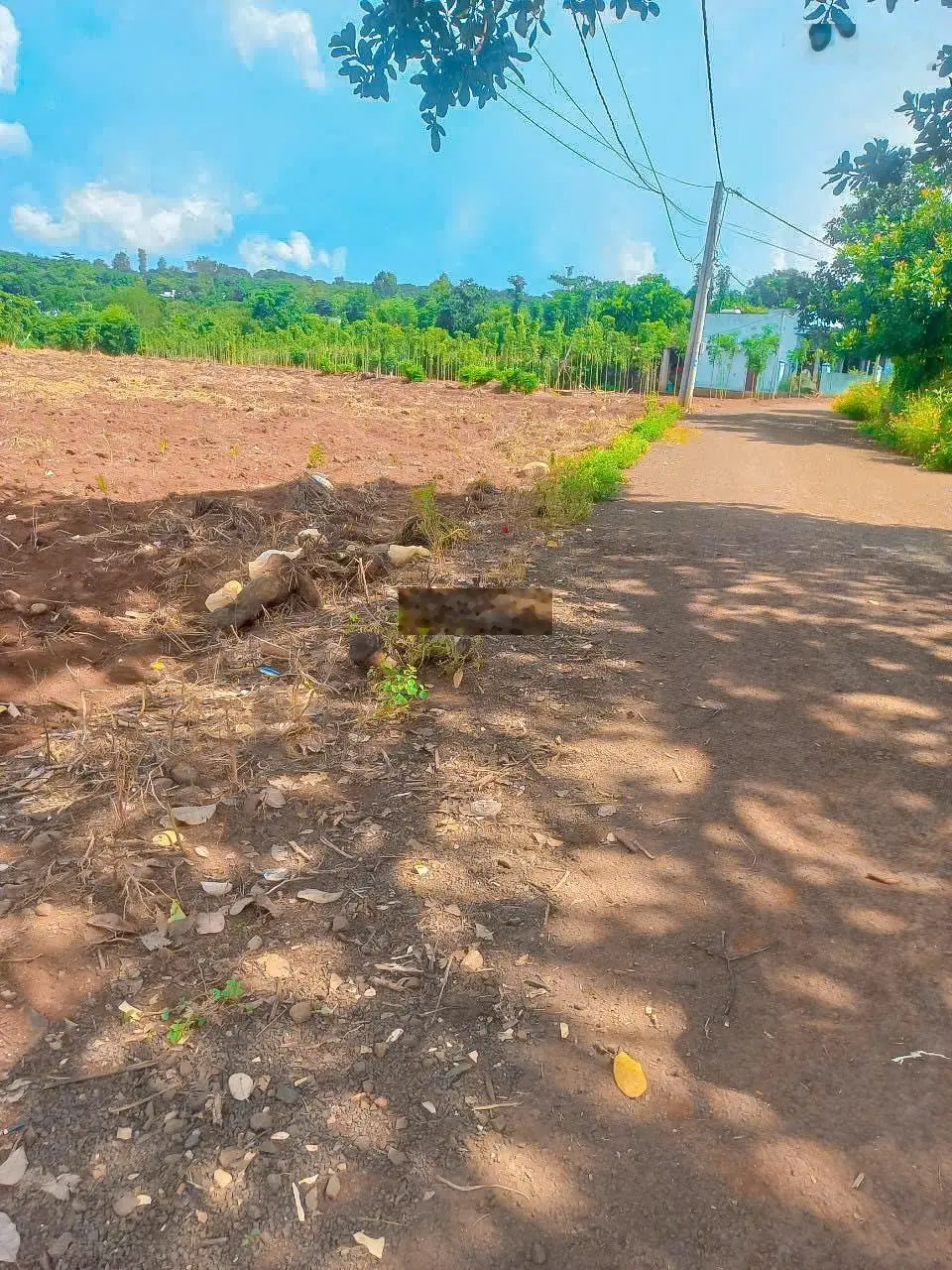 Cần bán 5.349m2 đất ngay trung tâm Bàu Lâm, mặt tiền nhựa gần 50m, nở hậu, đất ở toàn bộ