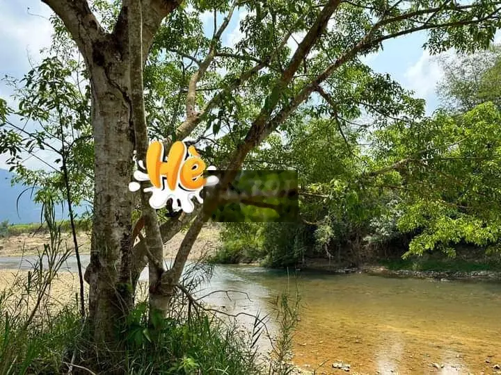 Bể banh ra nhanh trang trại suối tiên nha trang