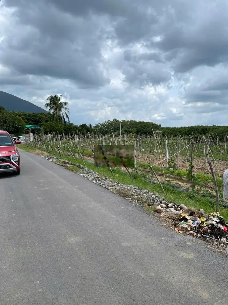 BÁn Gấp lô đất 15x35m2/270tr Ccahs ngã Tư Núi Bà 1.5km. bao check QH