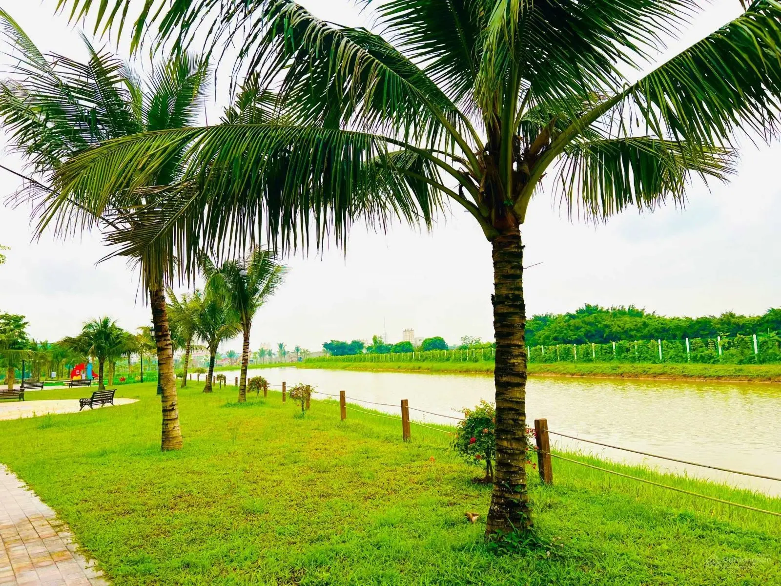 Quỹ biệt thự vip - sổ đỏ vĩnh viễn - Vinhomes Ocean Park 2