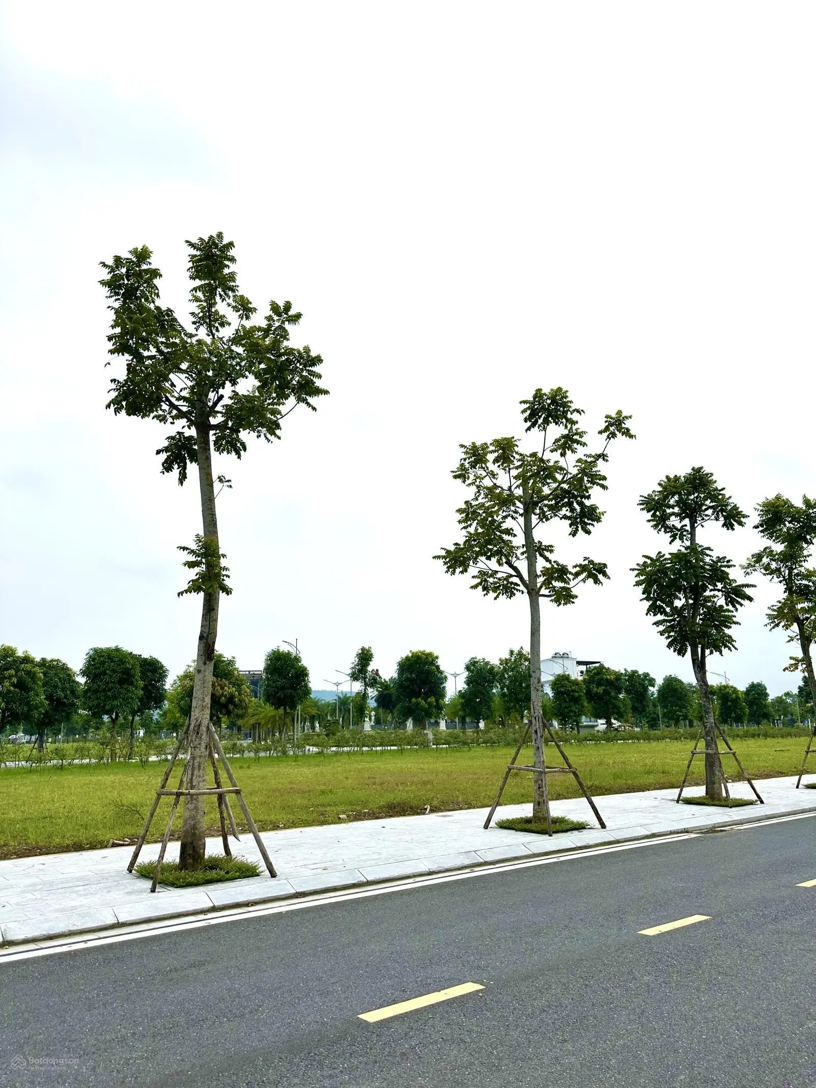 Bán Đất Nền Dự Án Danko City LK19 Hướng Nam Phong Thuỷ Tốt
