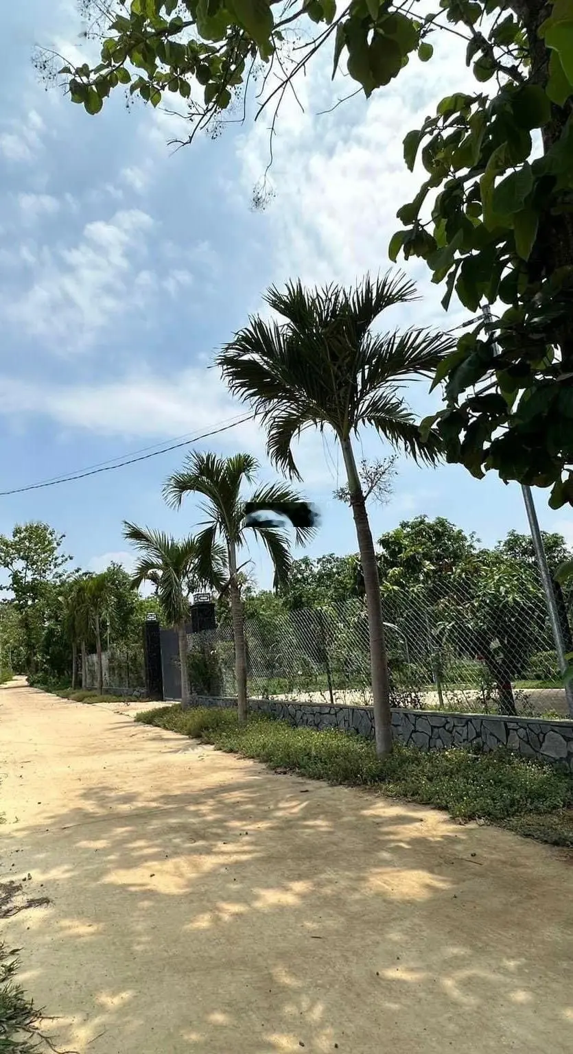 Bán vườn siêu đẹp 1098m2 giá 850tr