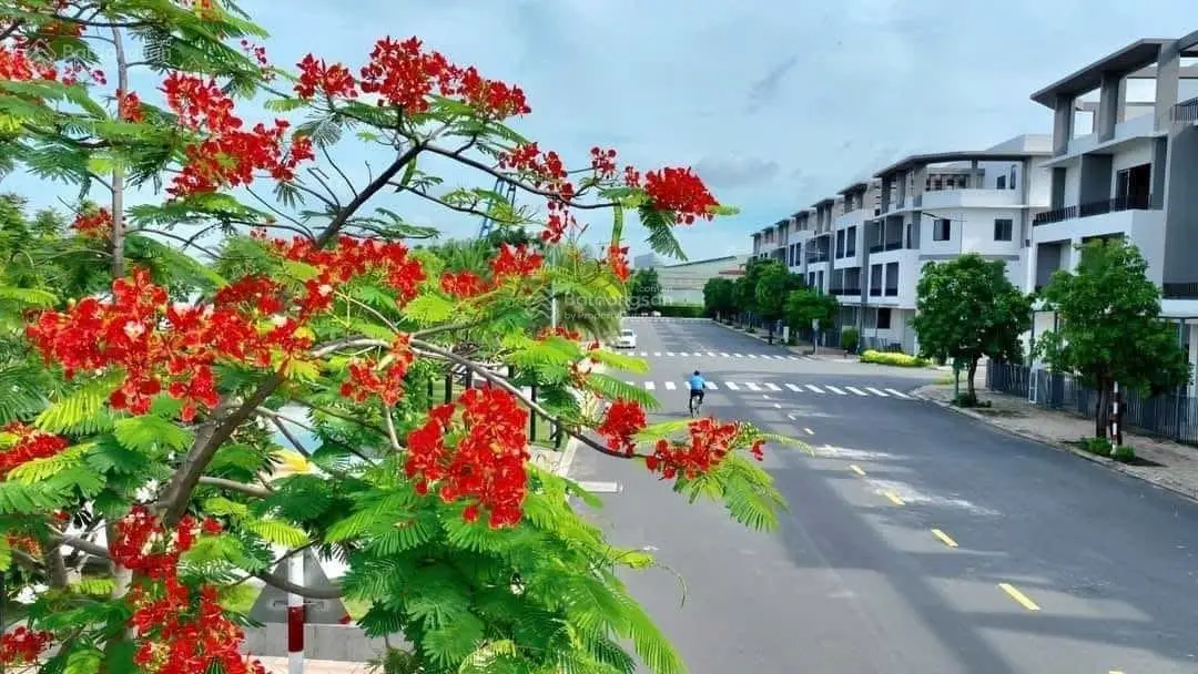 Nhà phố ven sông Vàm Cỏ Đông Bến Lức Chỉ 3.5 tỷ sẵn sổ hồng