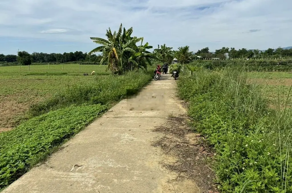 300m2 đất trồng cây hằng năm view sông tuý loan giá đầu tư