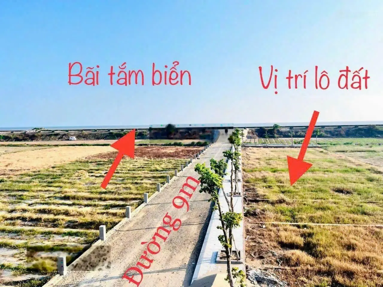 Gia đình cần tiền bán gấp lô đất 110m2 giá 960 tr đất biển Quất Lâm đất full thổ cư, LH 0981 443 ***