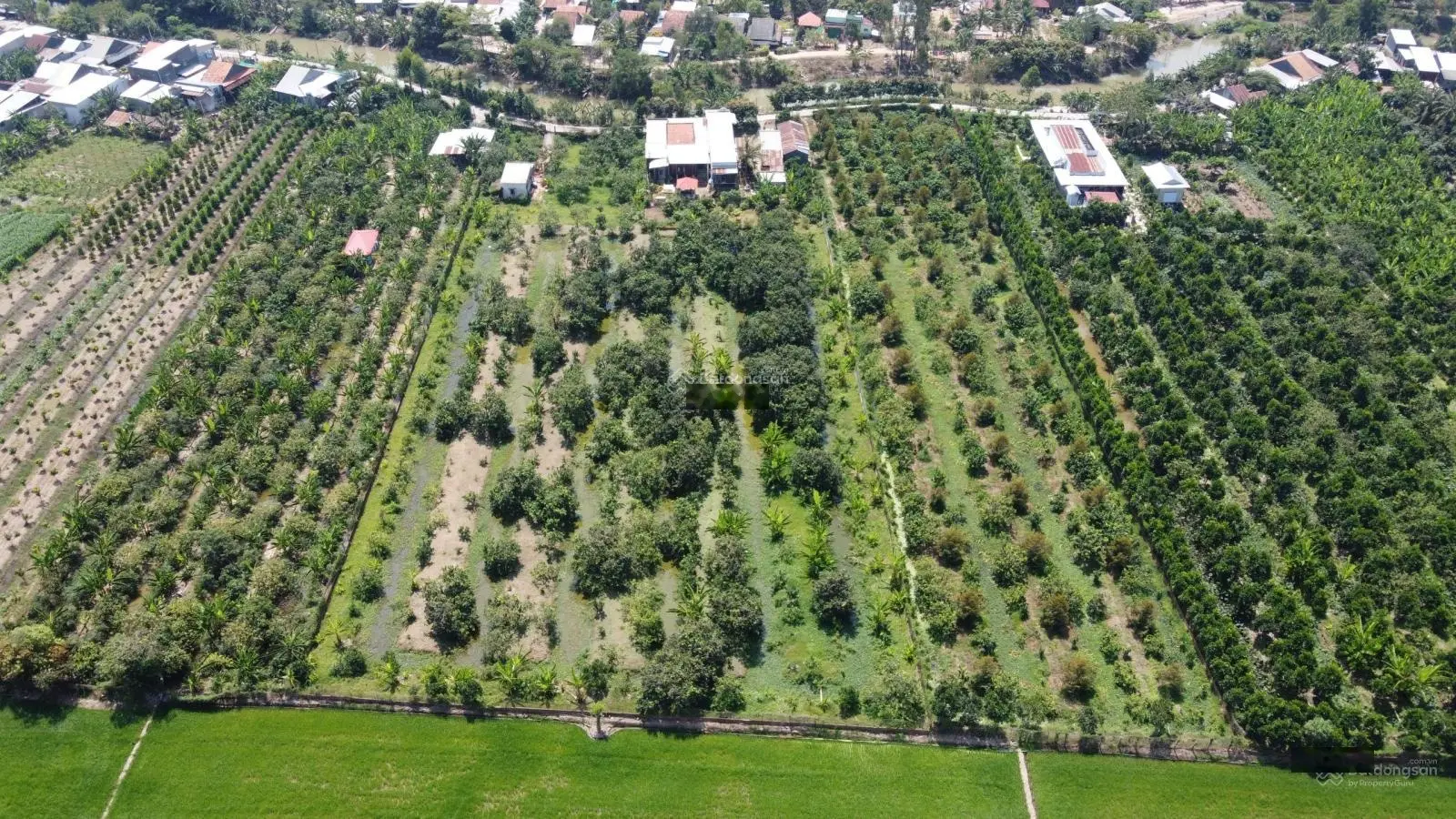 Khu sinh thái du lịch với 10.199m2 rất thích hợp cho người mê vườn cùng 600m2 thổ cư