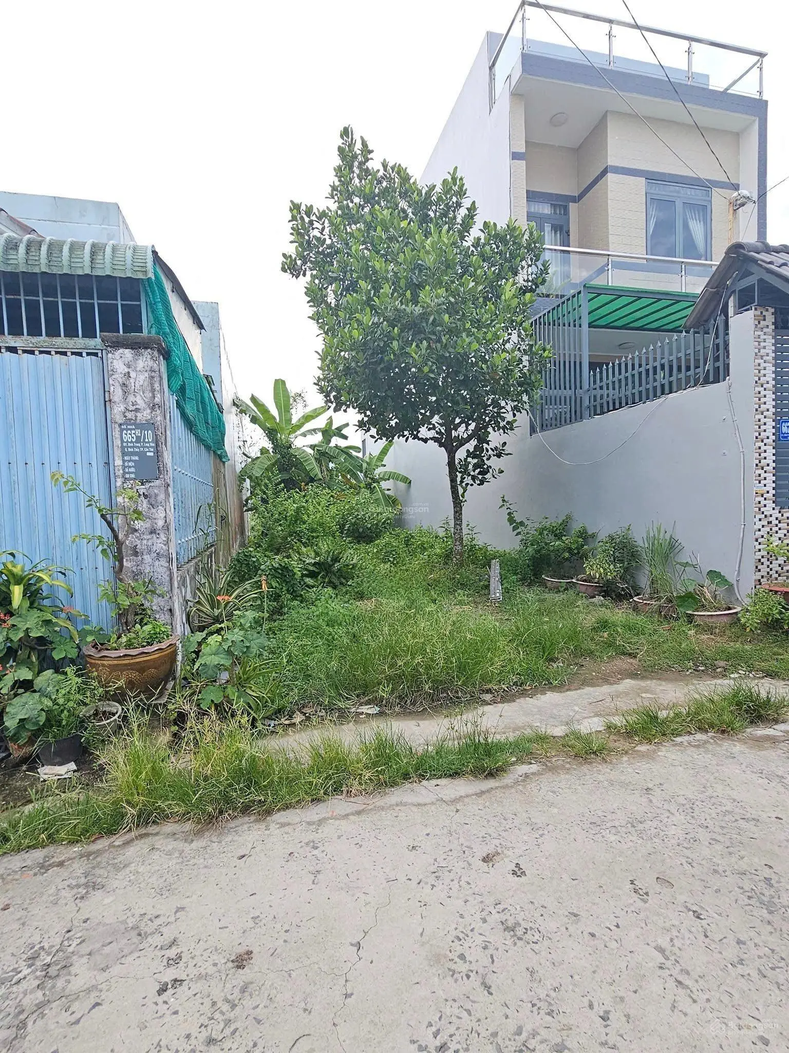 Cần tiền bán nhanh 100m2/ tr thị trấn Phong Điền, Cần Thơ, đất thổ cư, sổ sẵn