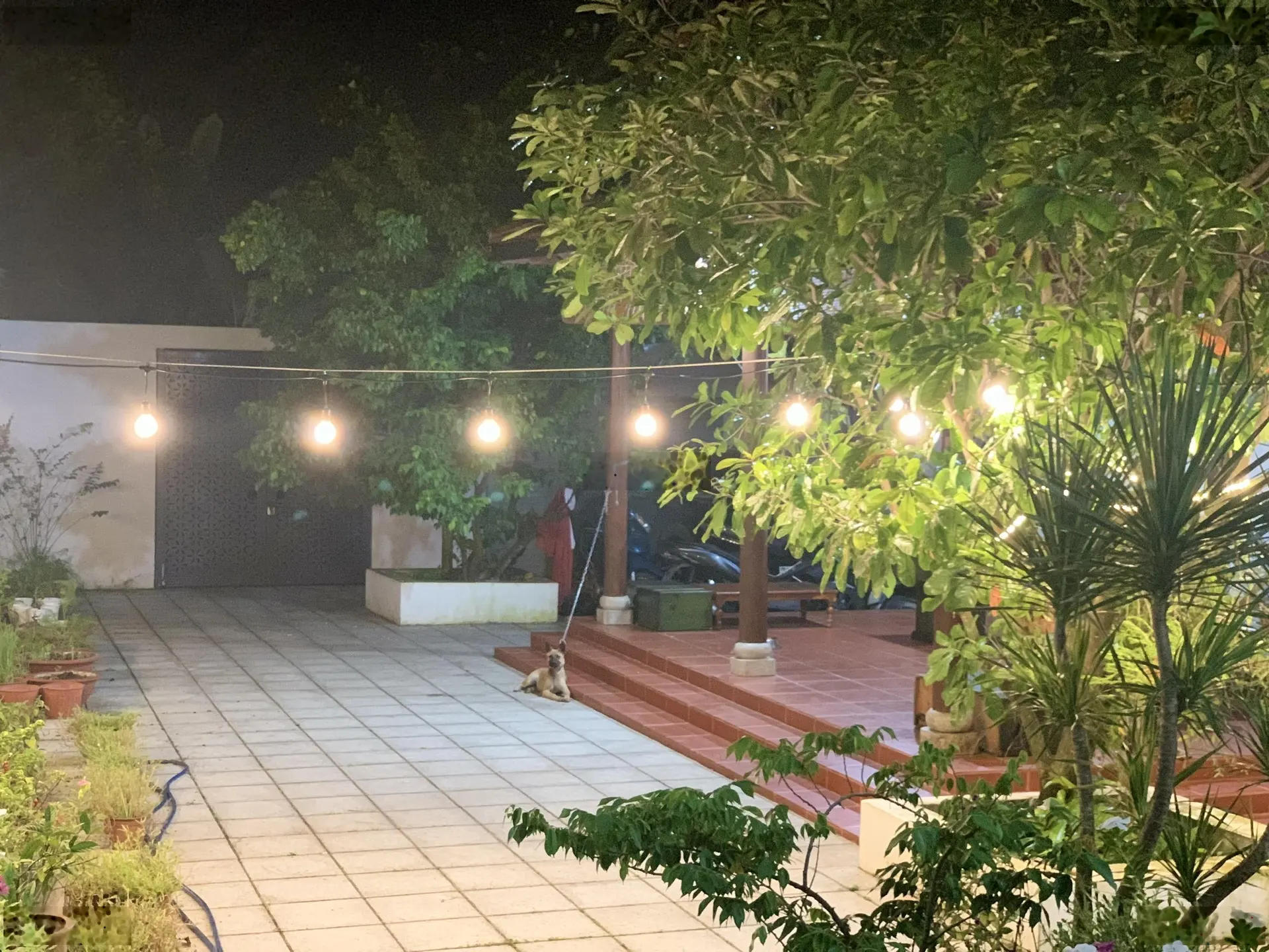 Bán căn biệt thự nhà vườn vô cùng tâm huyết của chủ nhà, không gian sống đẳng cấp