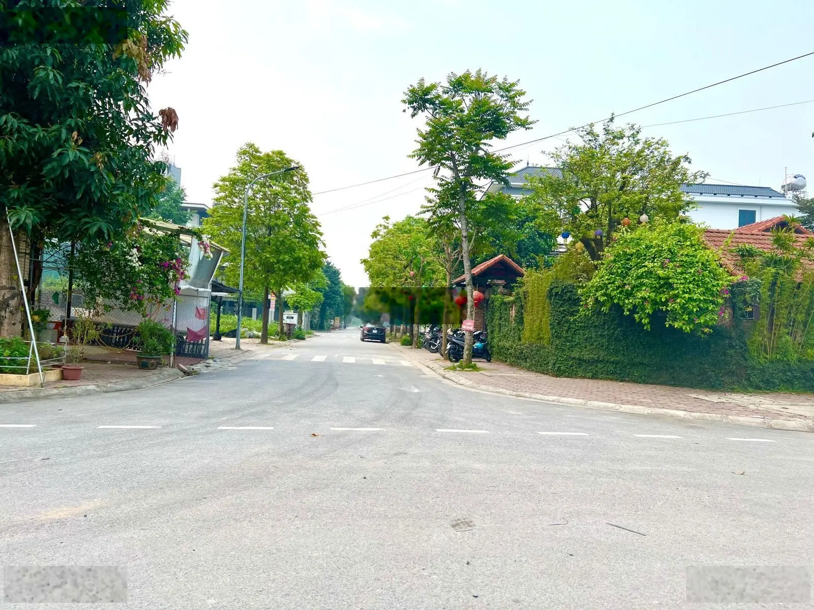 Bán đất đấu giá khu DG02 lô 80m2 mặt đường 24m. LH 0962 204 ***