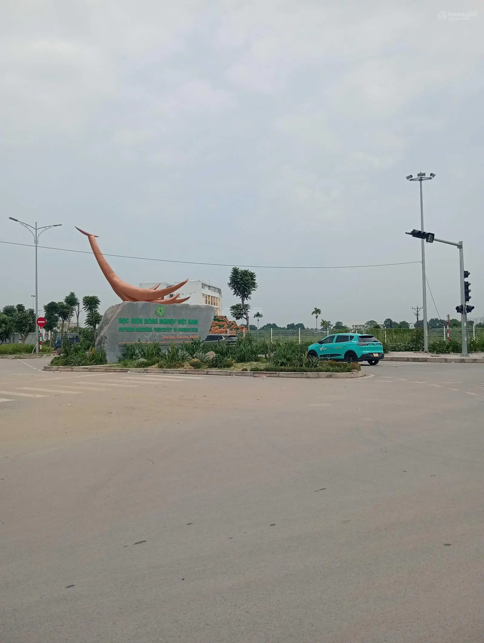 Ô tô tránh - vỉa hè - kinh doanh 77,3m2, MT6m - xây siêu thị - biệt thự - ccmn - toà văn phòng