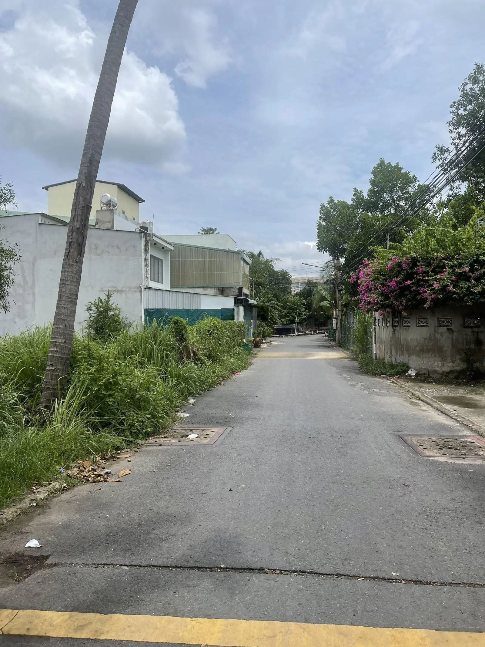 Bán gấp lô đất đẹp - giá rẻ tại Đ. Bùi Hữu Nghĩa, Binh Hoà, Thuận An, BD