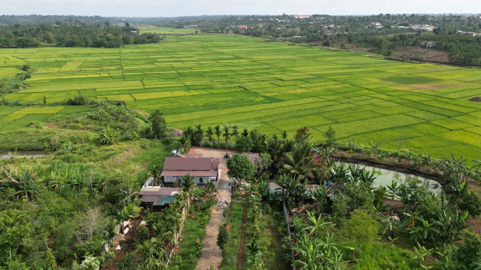 View nghĩ dưỡng tại EaDrong, TX Buôn Hồ, Đaklak, 2500m2, 100 thổ cư