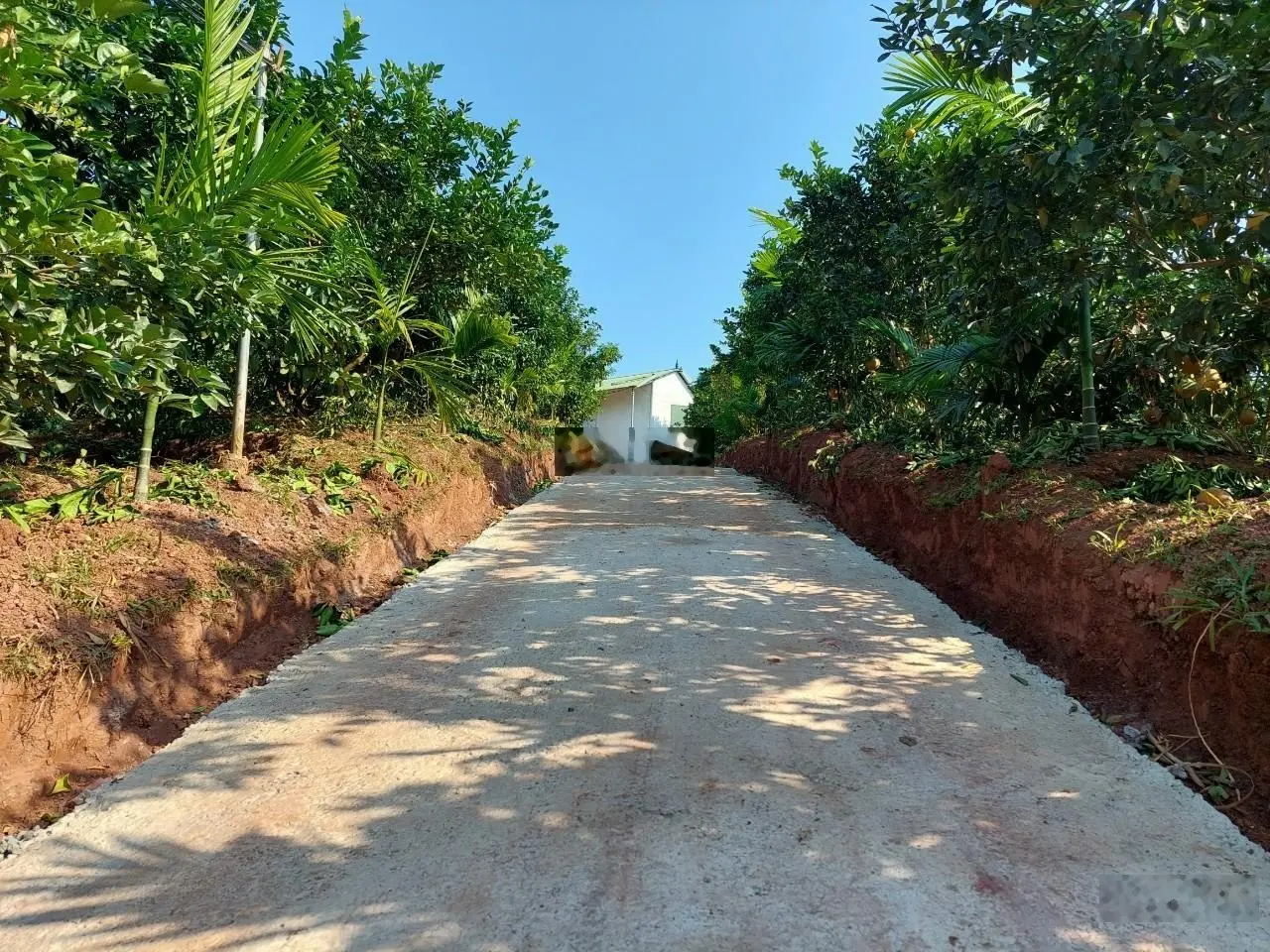 Bán lô đất tại Quyết Thắng, Lạc Sơn, Hòa Bình. Diện tích 15000m2