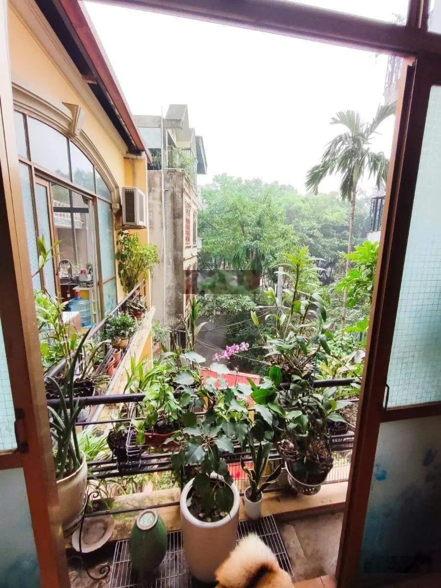 Giá đầu tư, lô góc 3 thoáng vĩnh viễn, cách ô tô 6 mét, bán đất tặng nhà 3 tầng vẫn ở ngon lành.