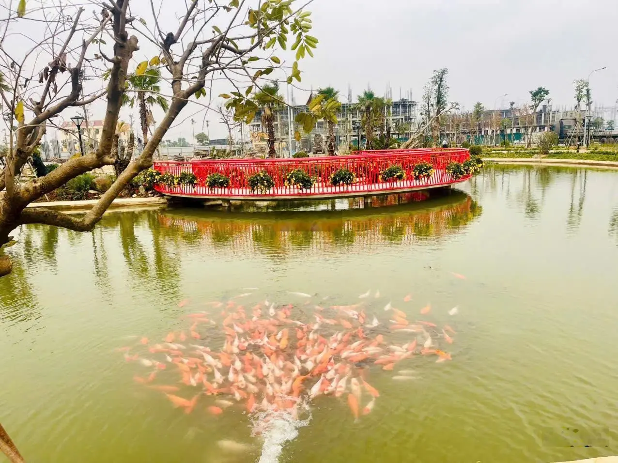 Cần bán nhanh liền kề cạnh him lam thường tín giá siêu tốt lh 0855281222