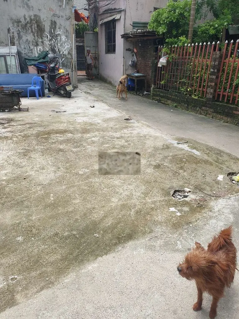 Bán nhà Thúy Lĩnh 35m²,2tầng, mặt tiền 4m, 3.4 t.y RẺ NHẤT HOÀNG MAI