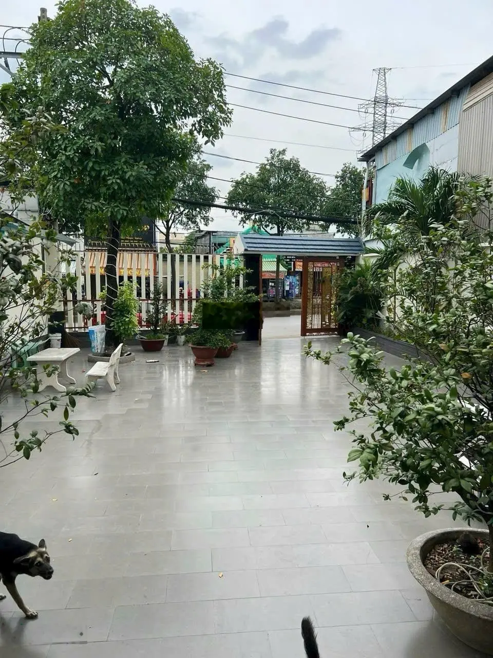 Bán nhanh biệt thự mặt tiền đường 61 phước long b, tp thủ đức. dt: 340m2, giá 32.5 tỷ