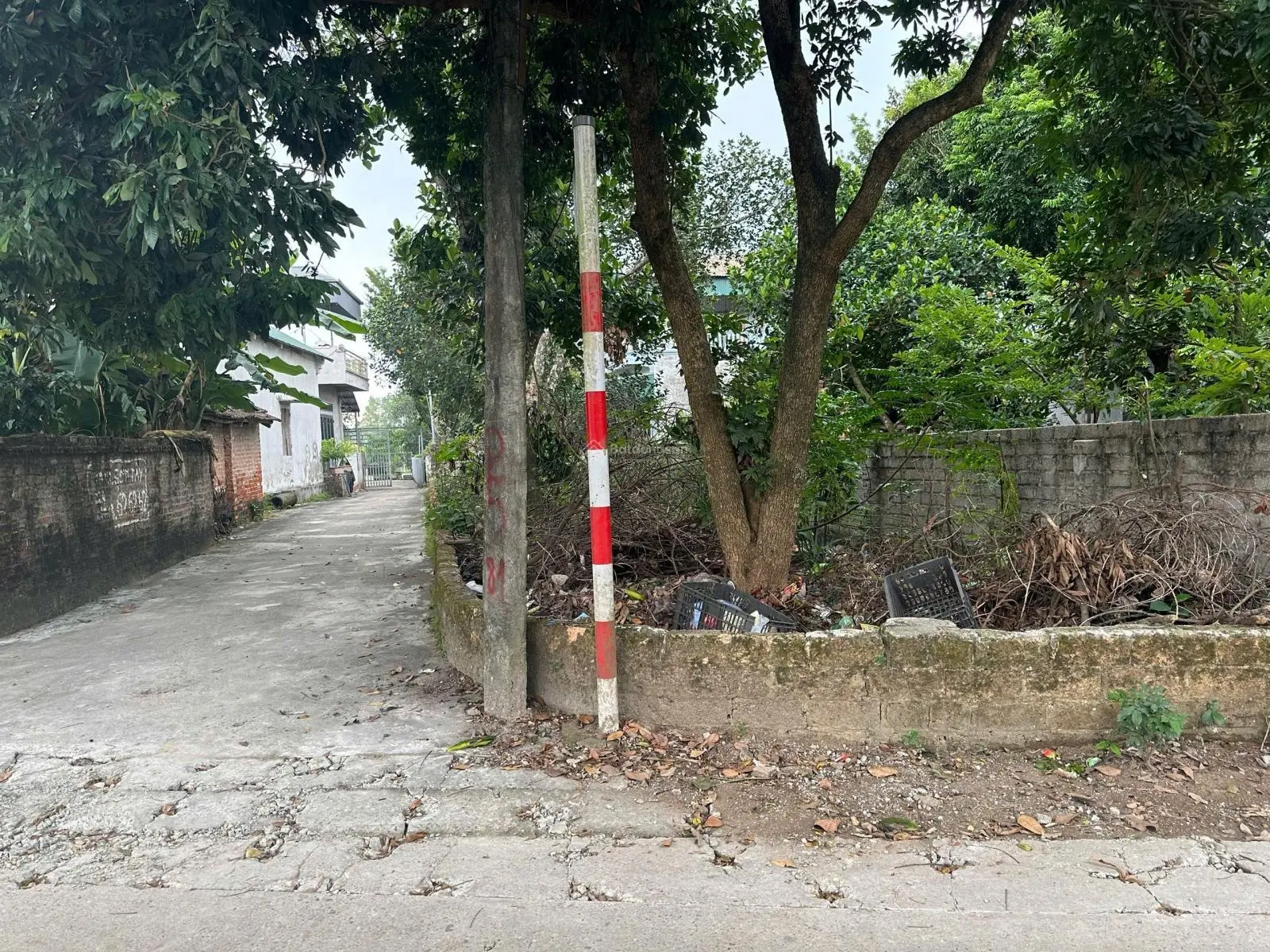 TÀI CHÍNH NHỈNH TỶ, SỞ HỮU LÔ GÓC ĐƯỜNG OTO TRÁNH, ở hoặc đầu tư đều tốt, giá bán nhanh