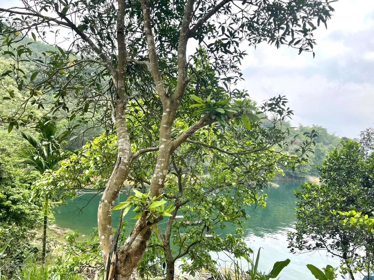 Bán 5000 m2 đất view hồ Hoà Bình