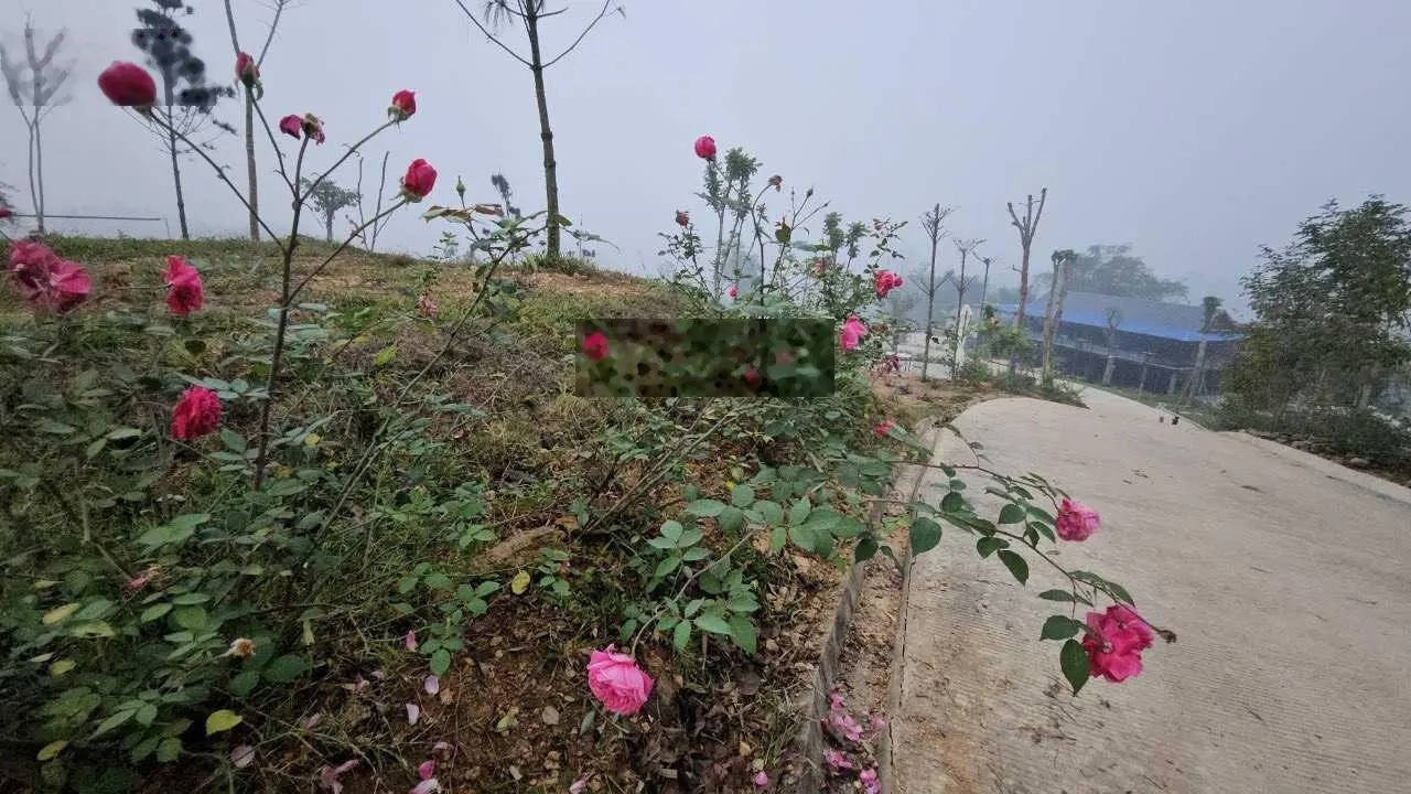 Chuyển nhượng 18000m2 (1,8ha) khuôn viên nghỉ dưỡng tuyệt đẹp tại Kỳ Sơn, Hoà Bình