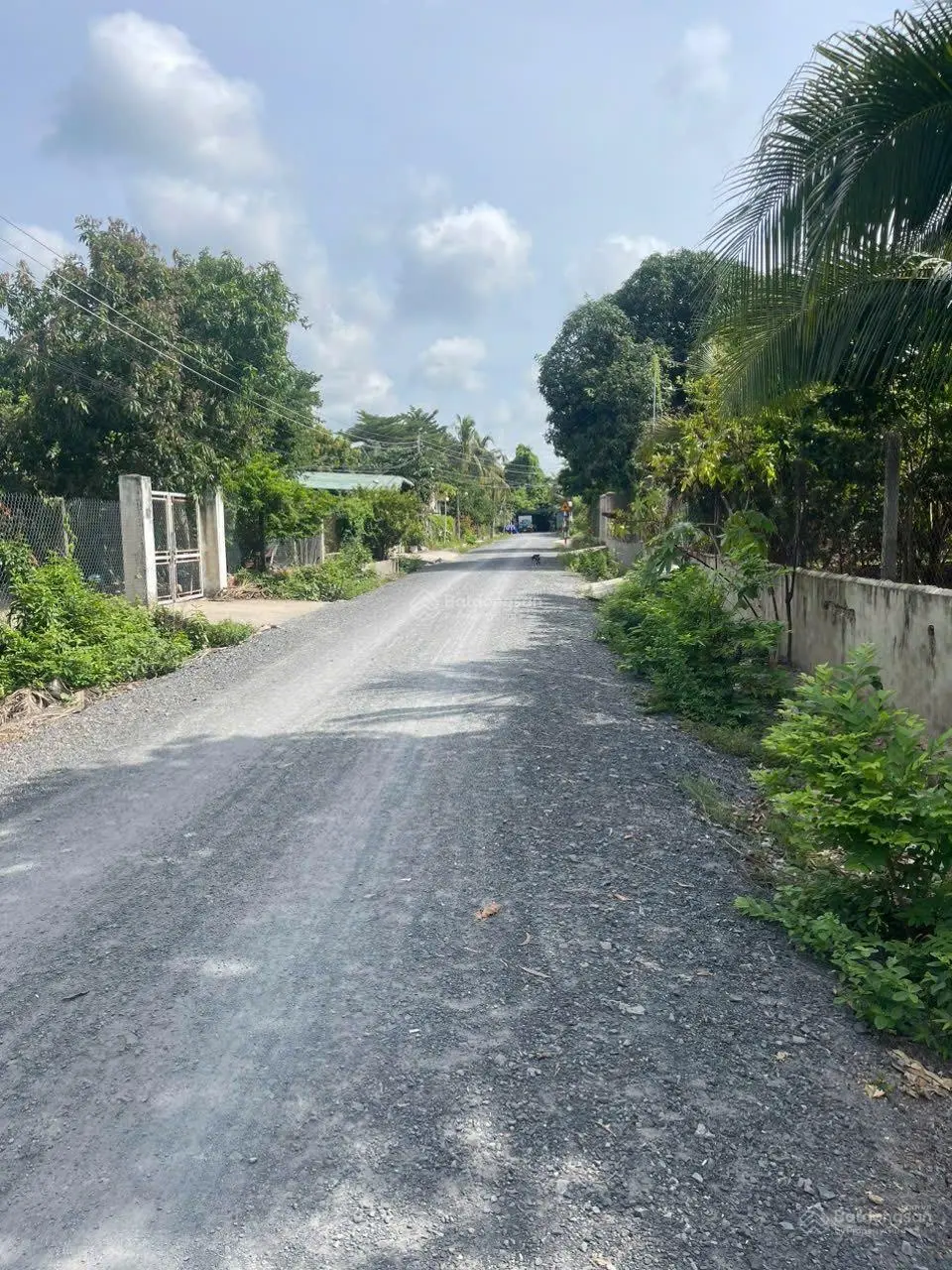 Bán đất thổ cư 372m2, tại đường số 19, Bời Lời, phường Ninh Sơn, thành phố Tây Ninh
