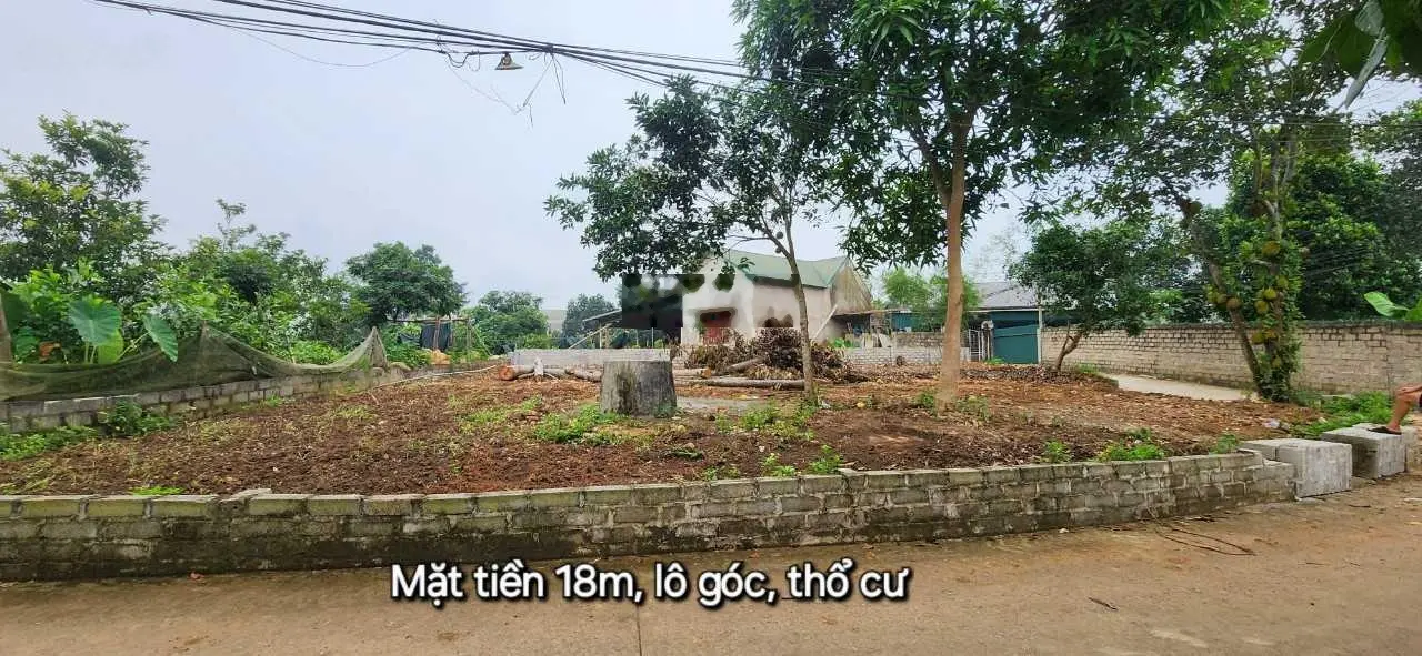 Bán đất tại Hữu Lũng, Lạng Sơn. Diện tích 175m2, giá 1,75 tỷ