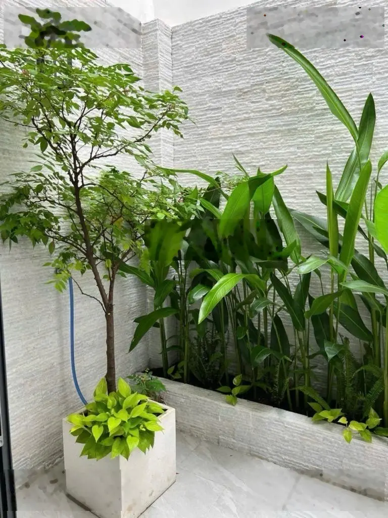Siêu phẩm biệt thự mini kiến trúc sư thiết kế - trung tâm Bình Thạnh - hẻm xe hơi