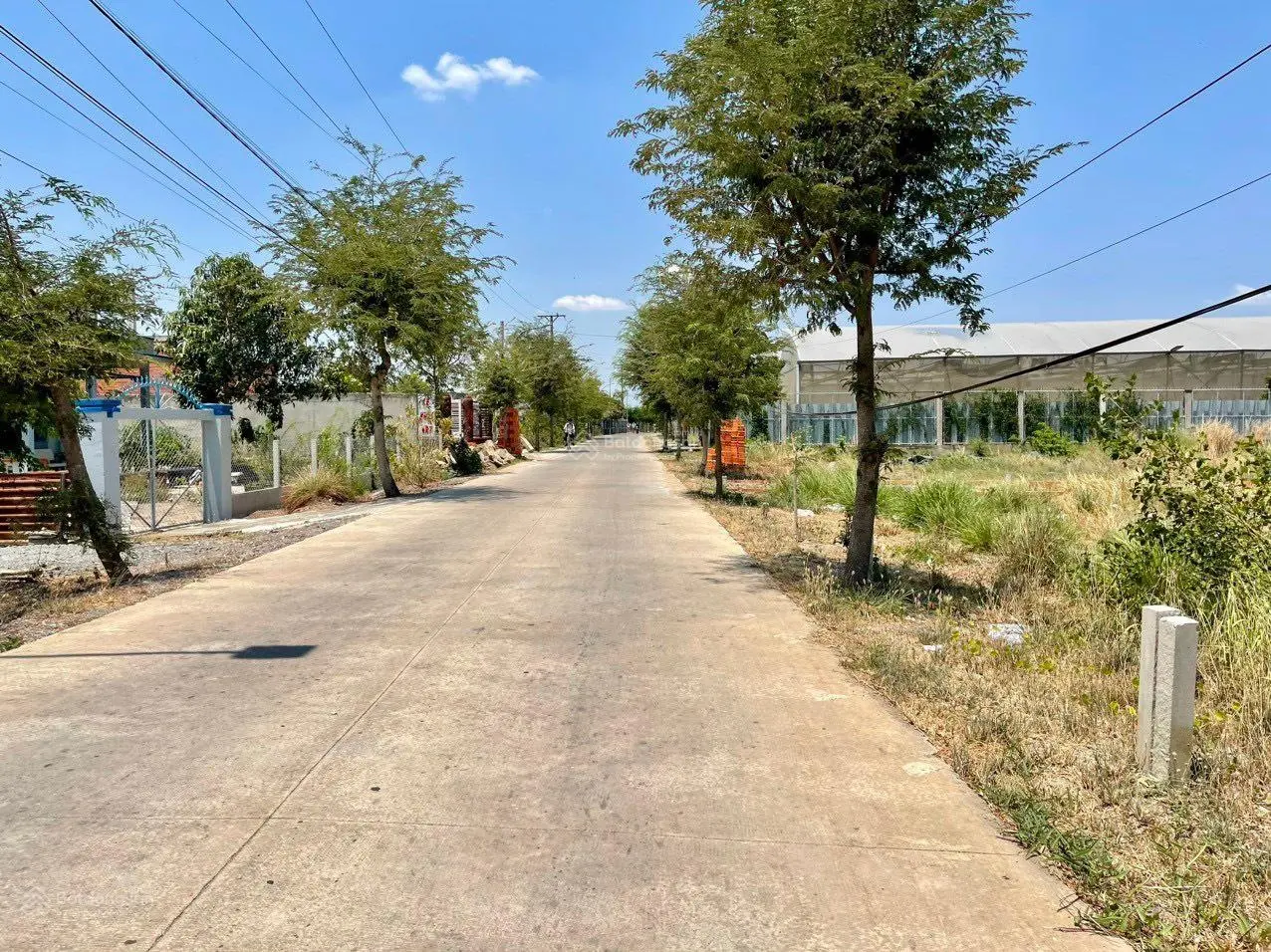 Chủ ngộp cần bán 500m2 (10x50m) đất vườn mặt tiền Nguyễn Thị Bài, khu vực cho chuyển thổ 4,2tr/m2