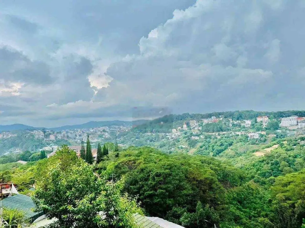 Đất view thung lũng rừng thông Khe Sanh 227m2 cách Hồ Xuân Hương 2,5km