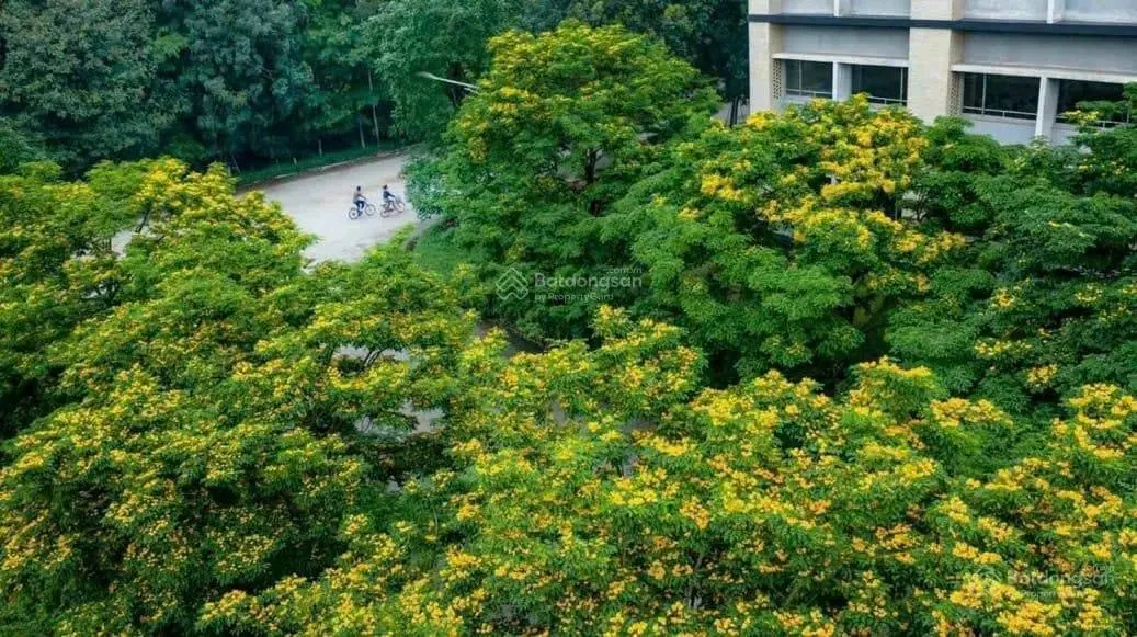 Bán biệt thự Ecopark Hải Dương, cơ hội lãi vốn, dòng tiền