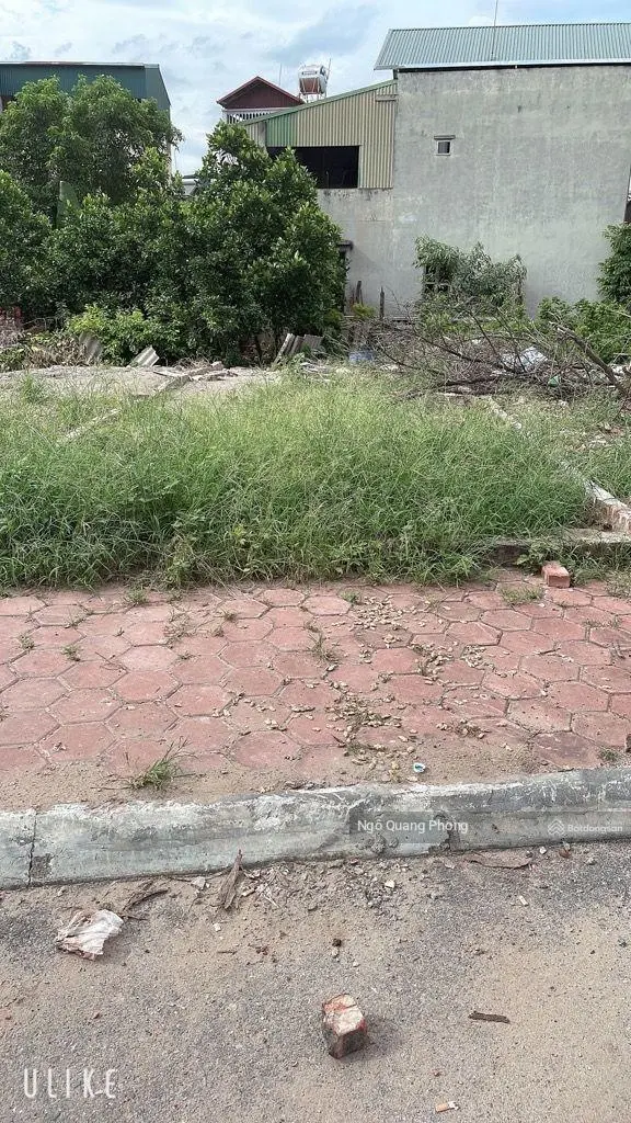 Bán đất trung tâm Trâu Quỳ, 85m2, lô góc